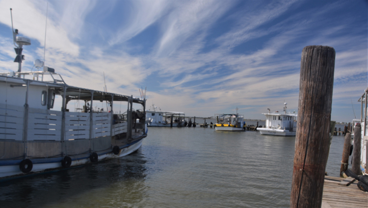 fishing boats along the shore